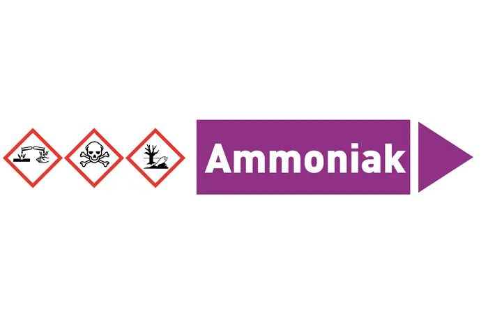 Pfeil rechts Ammoniak violett/weiß 215x40 mm Pfeil rechts Ammoniak violett/weiß 215x40 mm